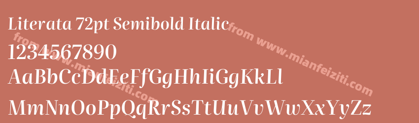 Literata 72pt Semibold Italic预览图1