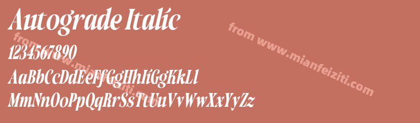 Autograde Italic预览图1