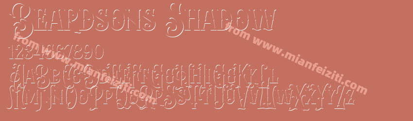 Beardsons Shadow预览图1