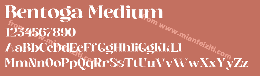 Bentoga Medium预览图1