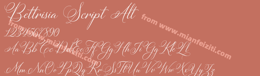 Bettrisia Script Alt预览图1