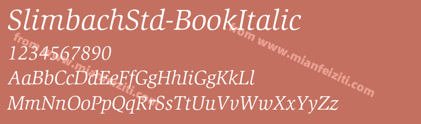 Slimbach Std Book Italic预览图1