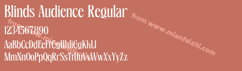 Blinds Audience Regular预览图1