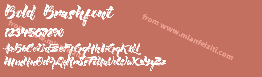 Bold Brushfont预览图1