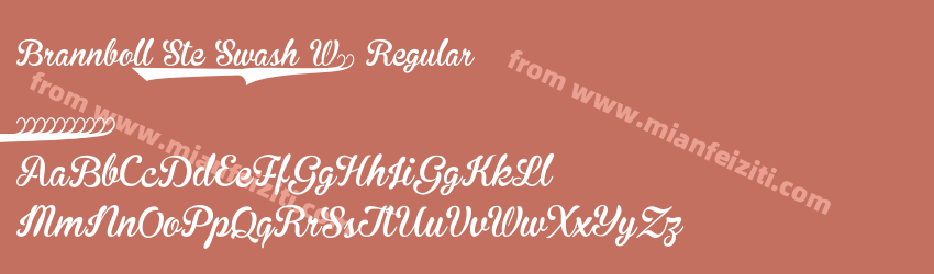 Brannboll Ste Swash W05 Regular预览图1