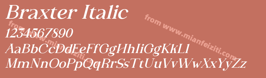 Braxter Italic预览图1 Braxter Italic预览图1