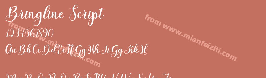 Bringline Script预览图1
