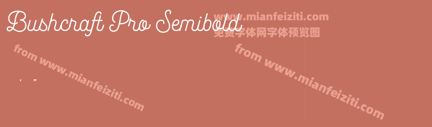 Bushcraft Pro Semibold预览图1