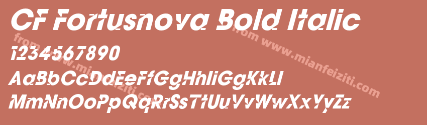 CF Fortusnova Bold Italic预览图1