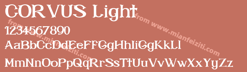CORVUS Light预览图1