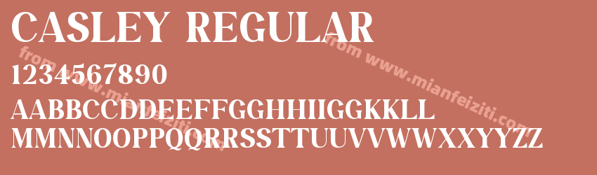 Casley Regular预览图1