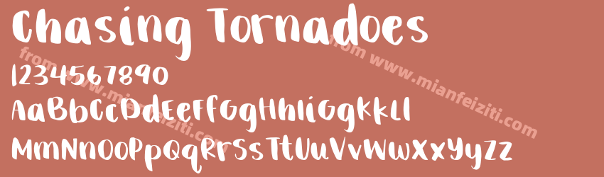 Chasing Tornadoes预览图1