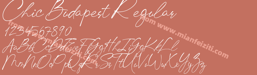 Chic Budapest Regular预览图1