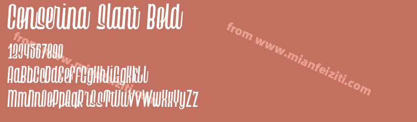 Conserina Slant Bold预览图1