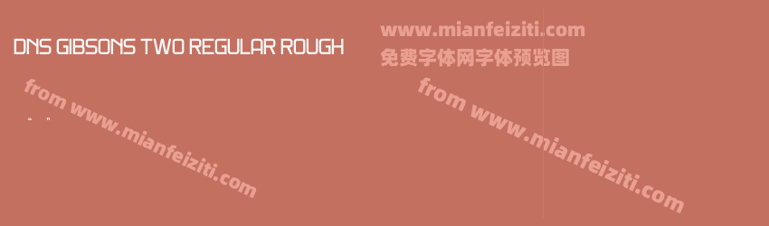 DNS Gibsons Two Regular Rough预览图1