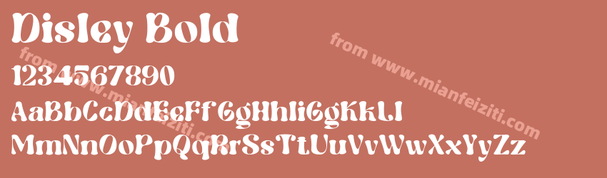Disley Bold预览图1