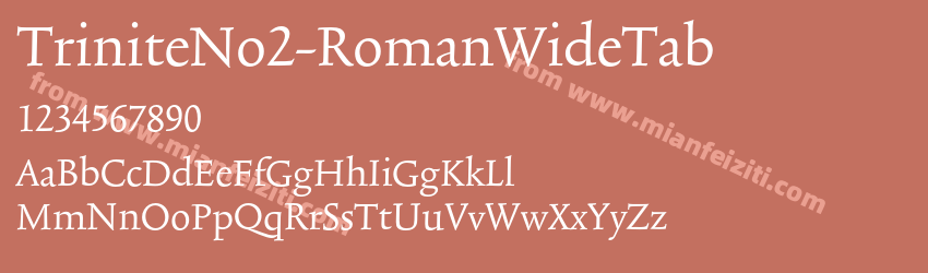 Trinite No2 Roman Wide Tab预览图1