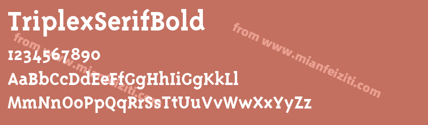 Triplex Serif Bold预览图1