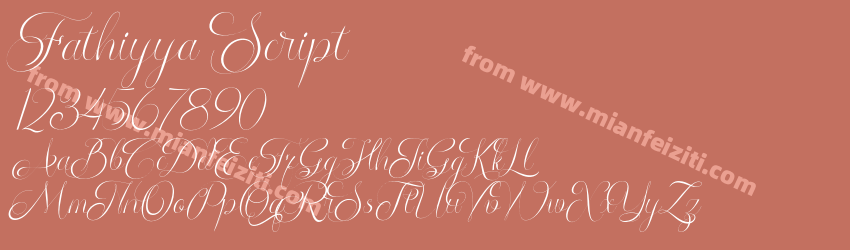 Fathiyya Script预览图1