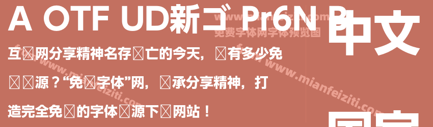 A OTF UD新ゴ Pr6N B预览图1