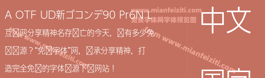 A OTF UD新ゴコンデ90 Pr6N L预览图1