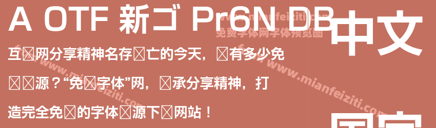 A OTF 新ゴ Pr6N DB预览图1