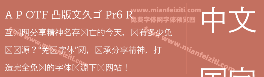 A P OTF 凸版文久ゴ Pr6 R预览图1