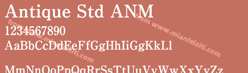 Antique Std ANM预览图1