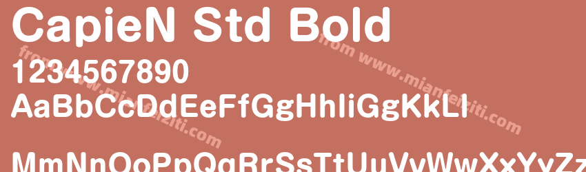 CapieN Std Bold预览图1
