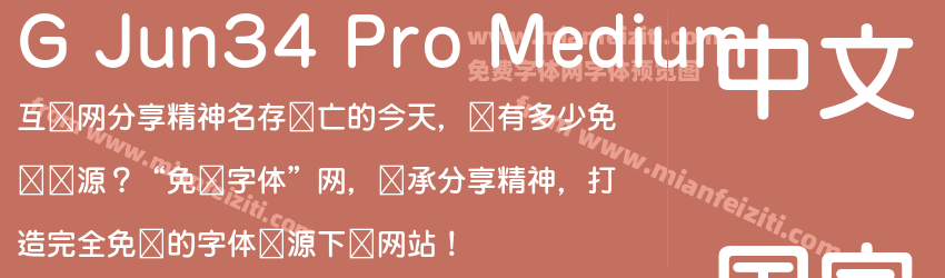 G Jun34 Pro Medium预览图1