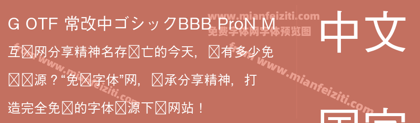 G OTF 常改中ゴシックBBB ProN M预览图1