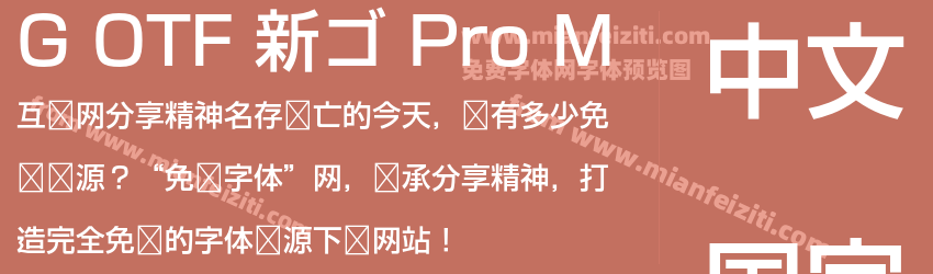 G OTF 新ゴ Pro M预览图1