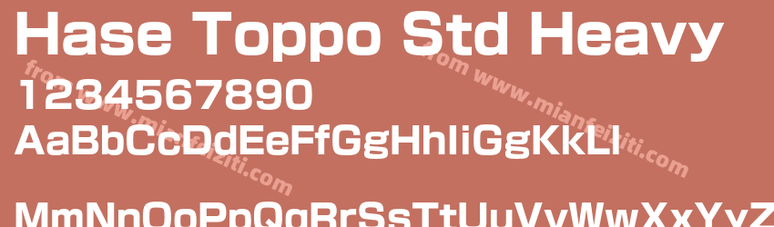 Hase Toppo Std Heavy预览图1