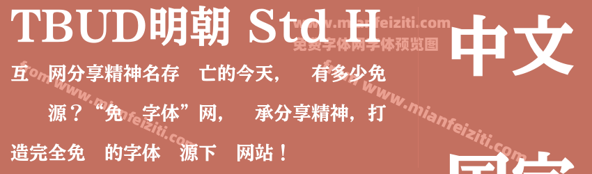 TBUD明朝 Std H预览图1