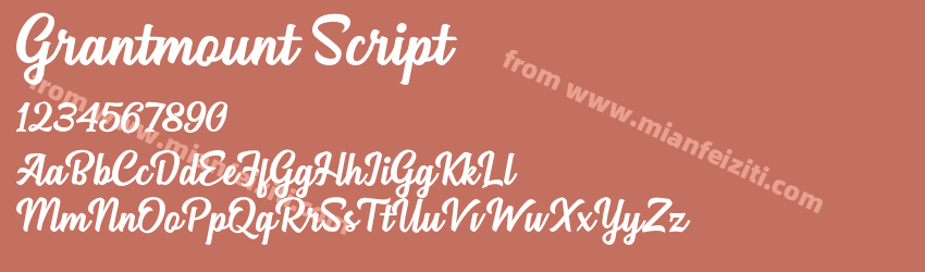 Grantmount Script预览图1