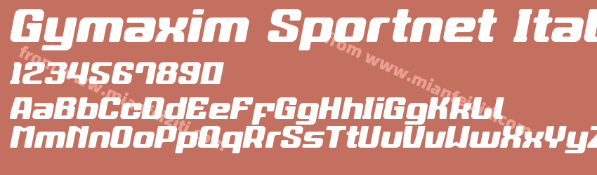 Gymaxim Sportnet Italic预览图1