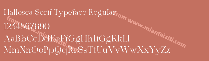 Hallosca Serif Typeface Regular预览图1