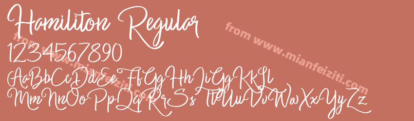 Hamiliton Regular预览图1