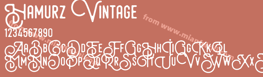 Hamurz Vintage预览图1
