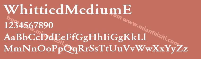 Whittied MediumE预览图1