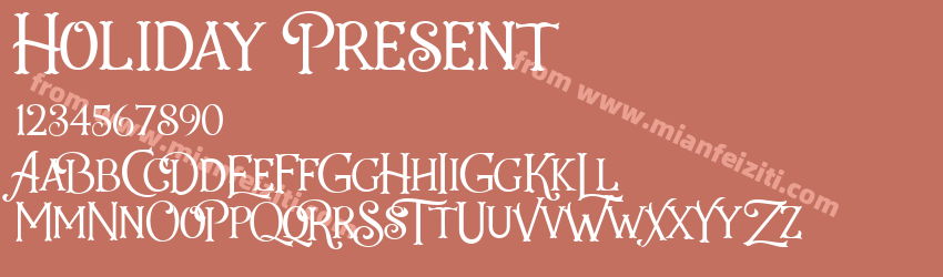 Holiday Present预览图1