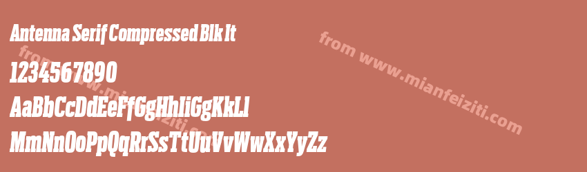 Antenna Serif Compressed Blk It预览图1