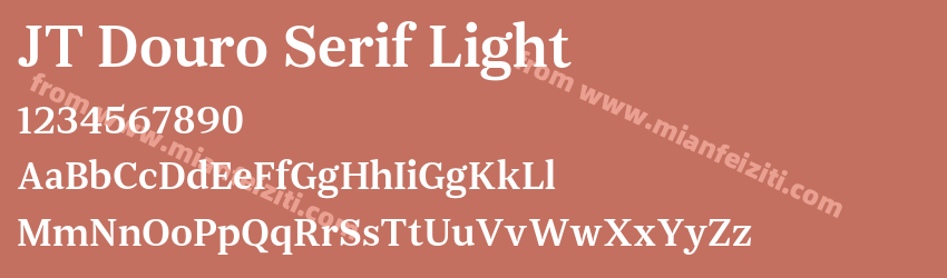 JT Douro Serif Light预览图1