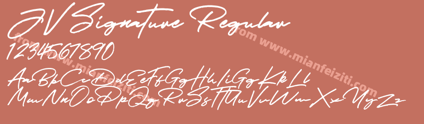 JV Signature Regular预览图1