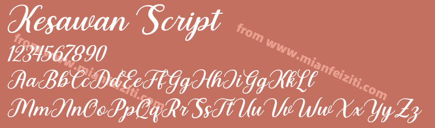 Kesawan Script预览图1