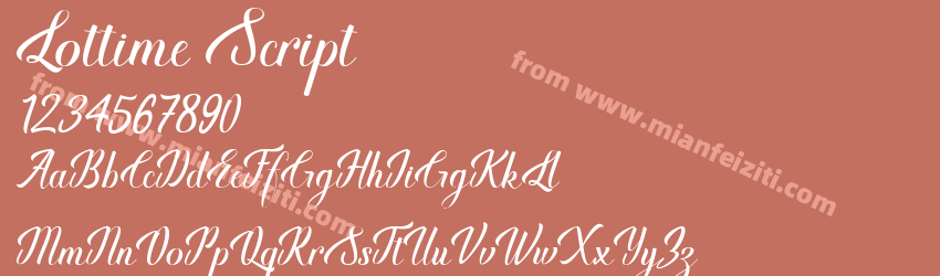 Lottime Script预览图1