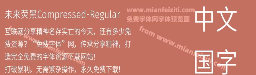未来荧黑Compressed-Regular预览图1