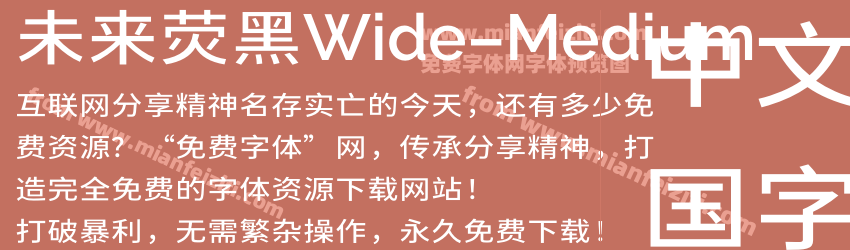 未来荧黑Wide-Medium预览图1