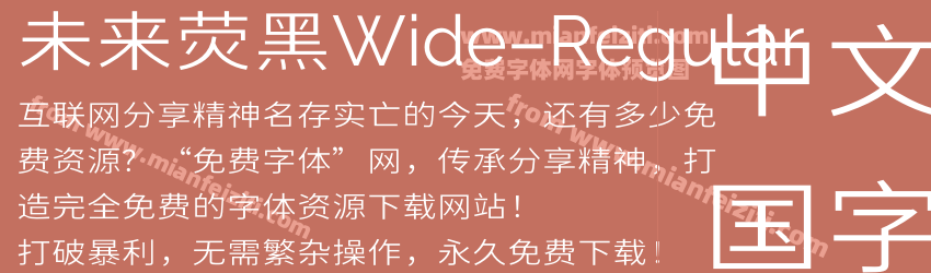 未来荧黑Wide-Regular预览图1