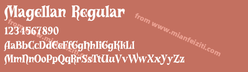 Magellan Regular预览图1